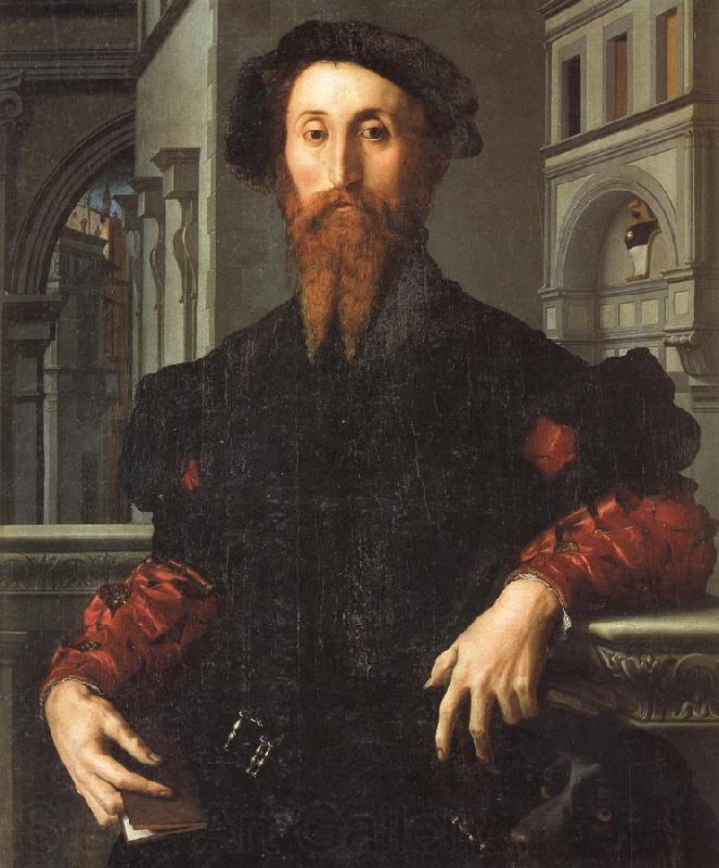 Agnolo Bronzino Portrait of Bartolomeo Panciatichi Germany oil painting art